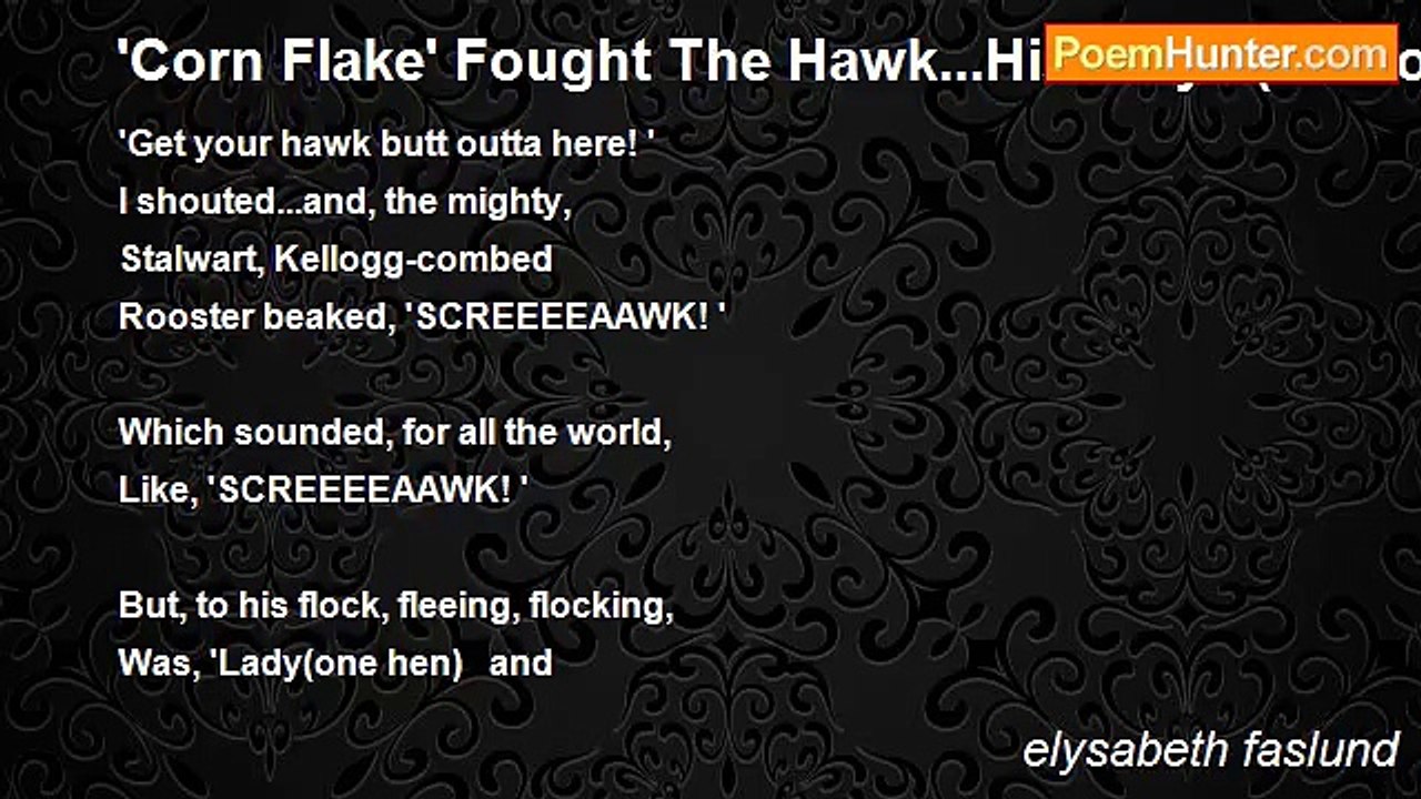 elysabeth faslund - 'Corn Flake' Fought The Hawk...His Way...(humor)