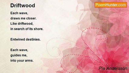 Pia Andersson - Driftwood
