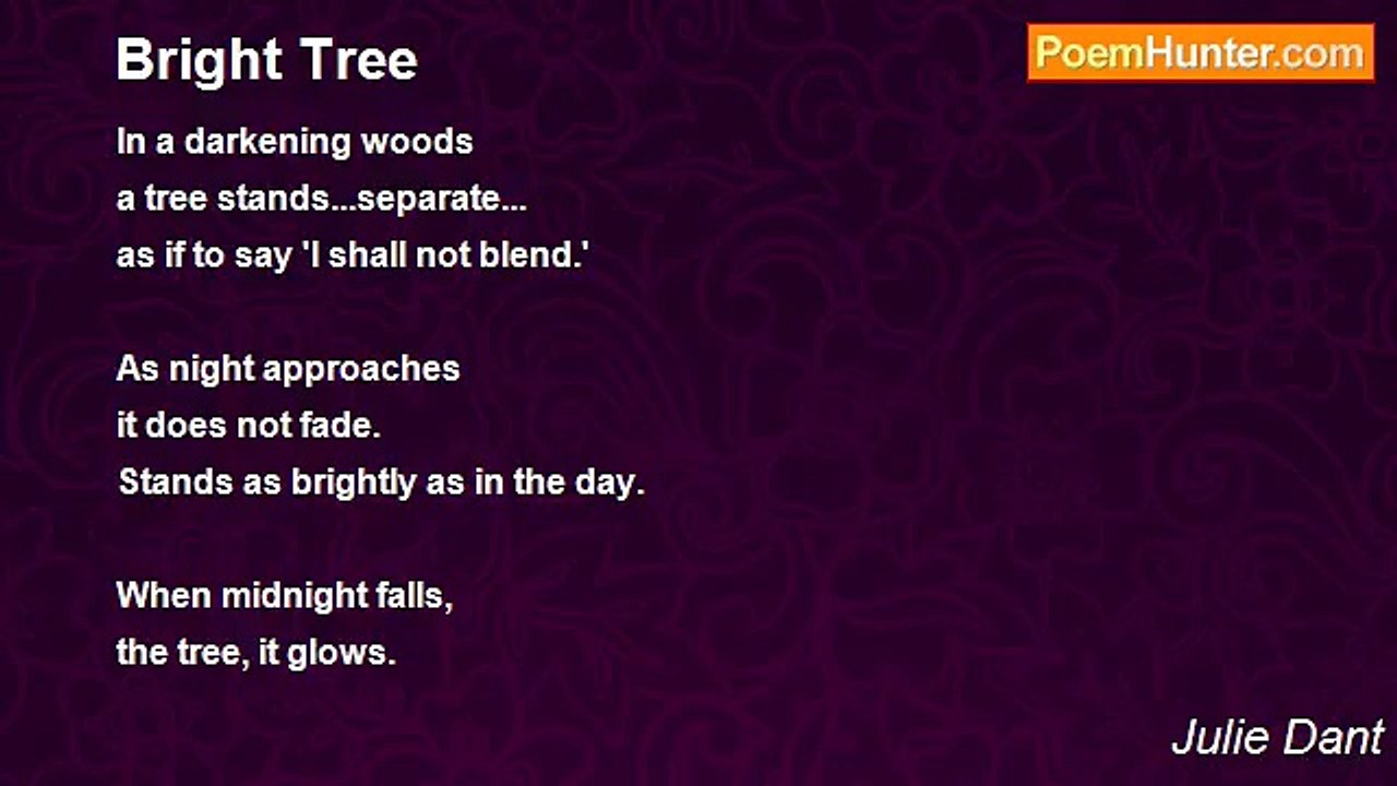 Julie Dant - Bright Tree