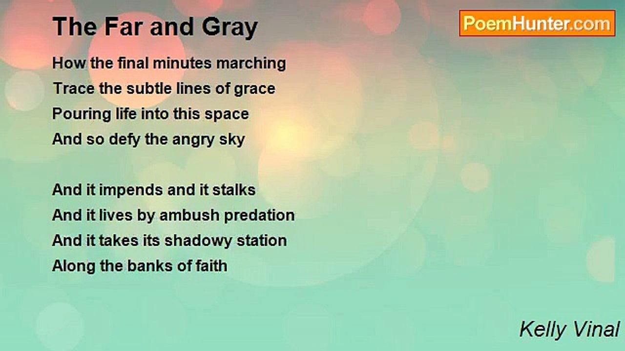 Kelly Vinal - The Far and Gray