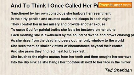 Ted Sheridan - And To Think I Once Called Her Princess