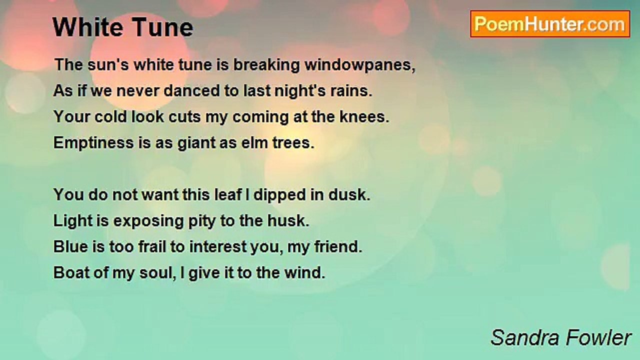 Sandra Fowler - White Tune