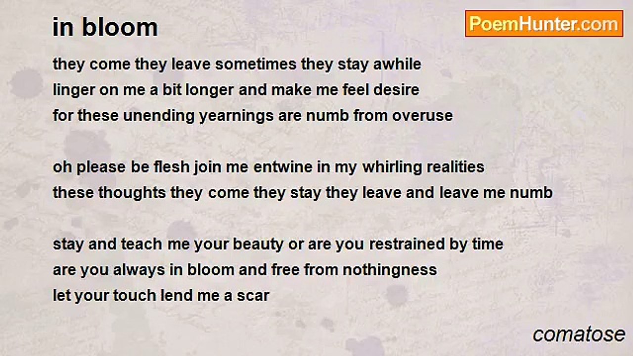 comatose - in bloom