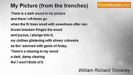 William Richard Torvaney - My Picture (from the trenches)