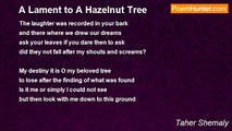 Taher Shemaly - A Lament to A Hazelnut Tree