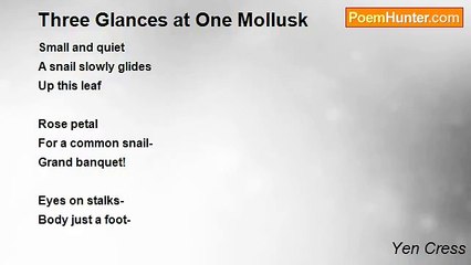 Yen Cress - Three Glances at One Mollusk