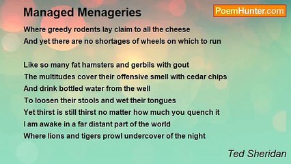 Ted Sheridan - Managed Menageries