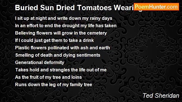 Ted Sheridan - Buried Sun Dried Tomatoes Wearing Shoes