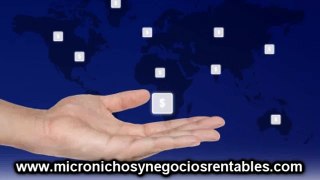 El dinero llega fácil con los micro nichos rentables