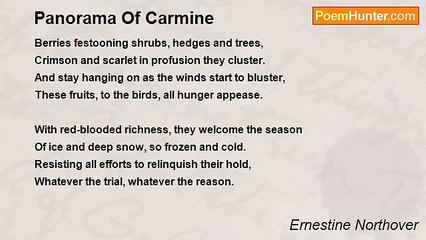 Ernestine Northover - Panorama Of Carmine