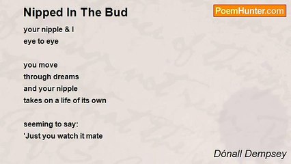 Dónall Dempsey - Nipped In The Bud