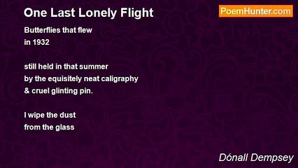 Dónall Dempsey - One Last Lonely Flight