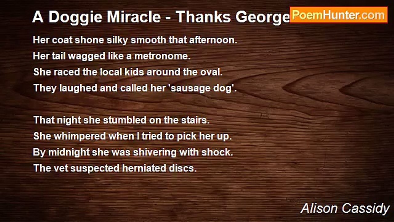 Alison Cassidy - A Doggie Miracle - Thanks George