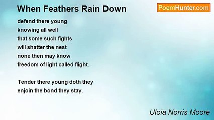 Uloia Norris Moore - When Feathers Rain Down