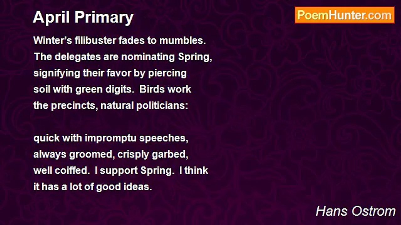 Hans Ostrom - April Primary