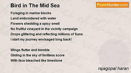 rajagopal haran - Bird in The Mid Sea