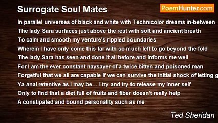 Ted Sheridan - Surrogate Soul Mates