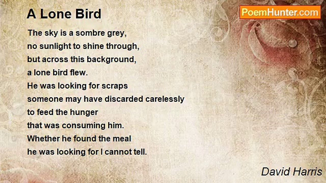David Harris - A Lone Bird