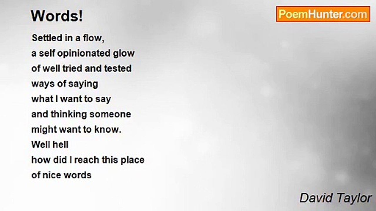 David Taylor - Words!