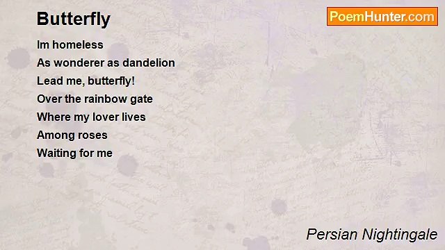Persian Nightingale - Butterfly