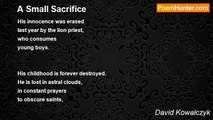 David Kowalczyk - A Small Sacrifice