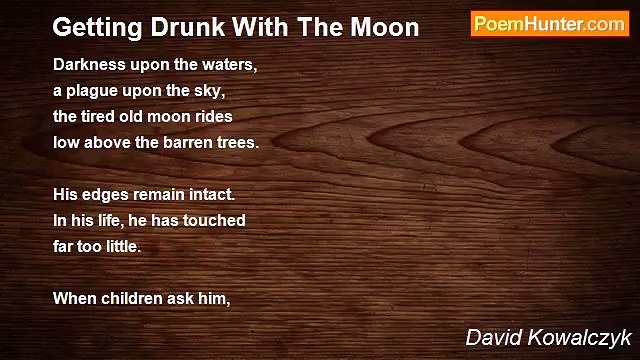 David Kowalczyk - Getting Drunk With The Moon