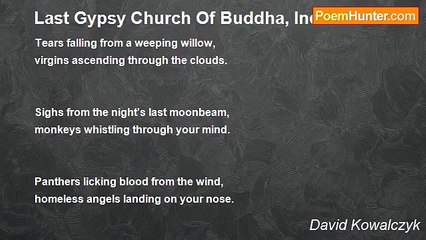 David Kowalczyk - Last Gypsy Church Of Buddha, Indiana