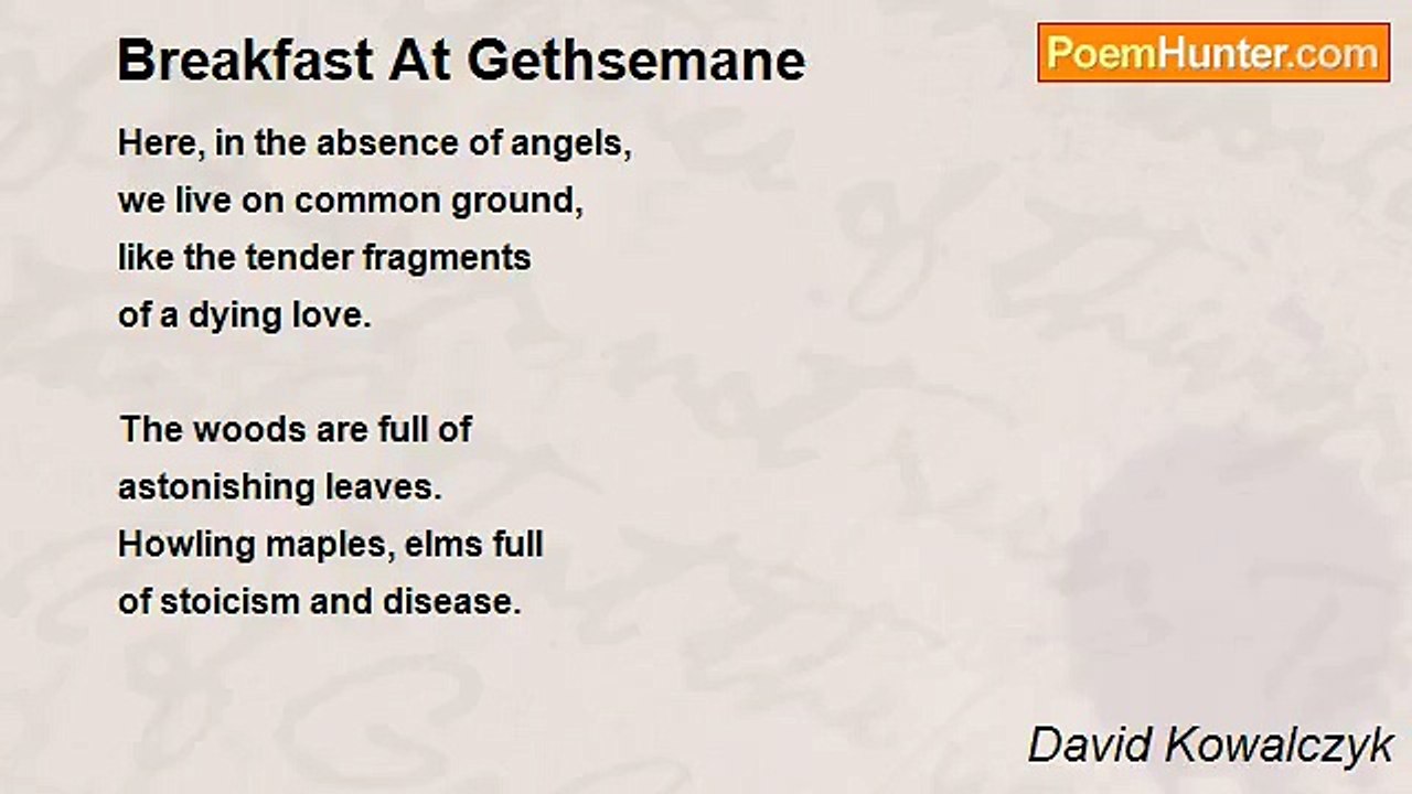 David Kowalczyk - Breakfast At Gethsemane
