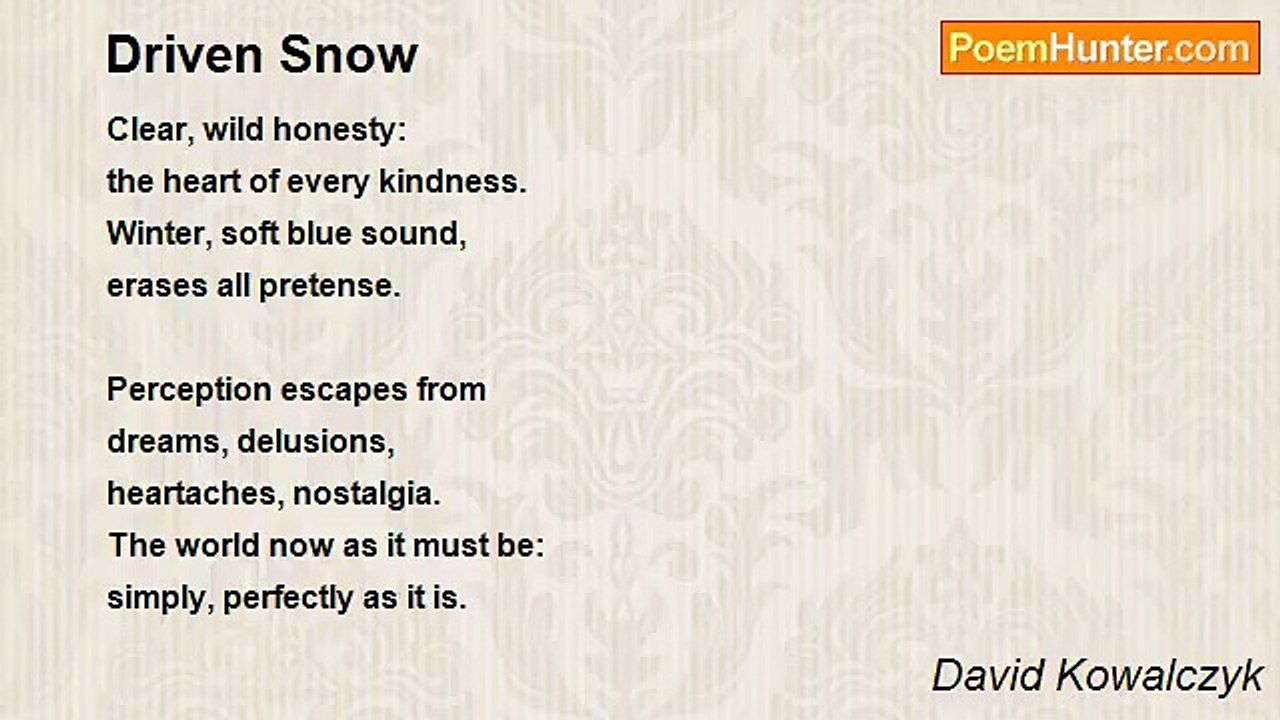 David Kowalczyk - Driven Snow