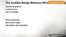 David Kowalczyk - The Audible Bridge Between Winter And Spring