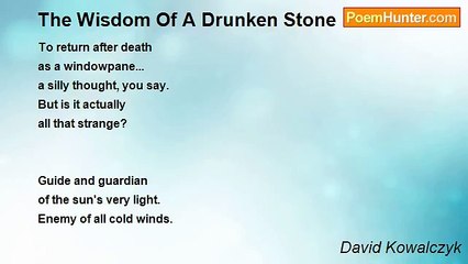 David Kowalczyk - The Wisdom Of A Drunken Stone