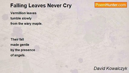 David Kowalczyk - Falling Leaves Never Cry