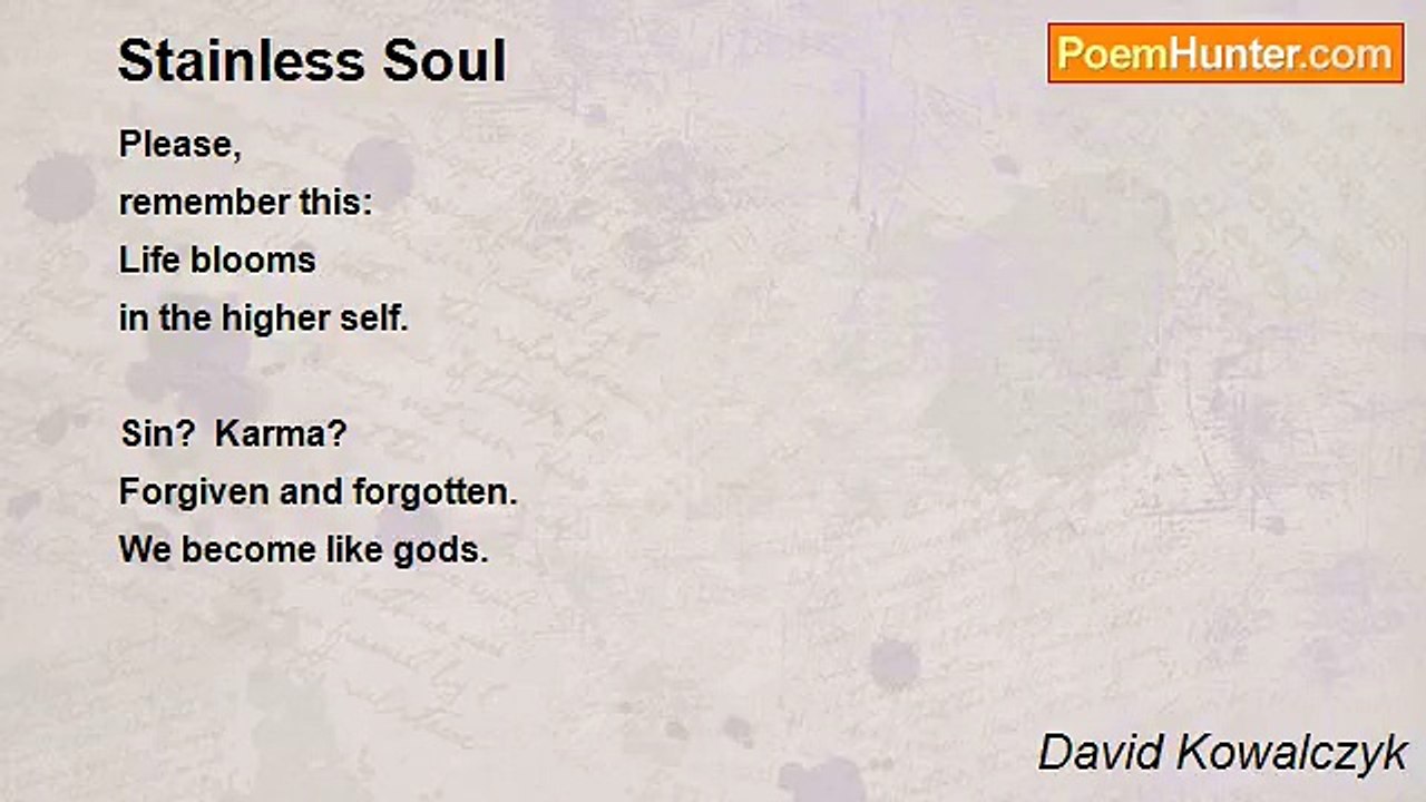David Kowalczyk - Stainless Soul