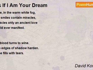 David Kowalczyk - As If I Am Your Dream