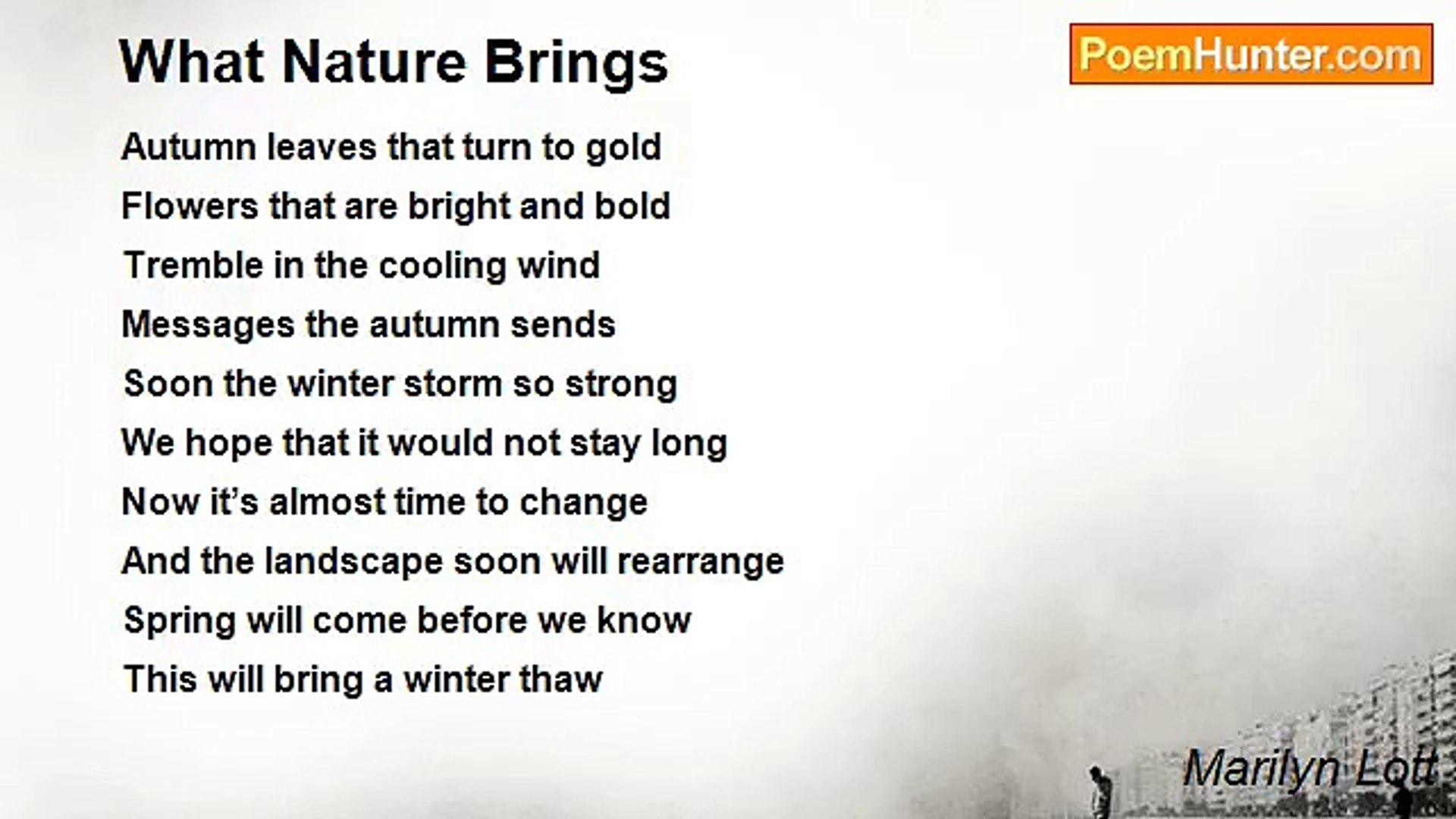 Marilyn Lott - What Nature Brings