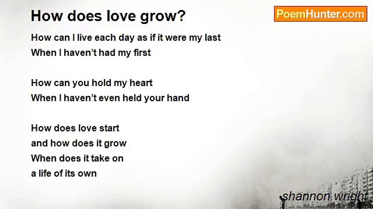 shannon wright - How does love grow?