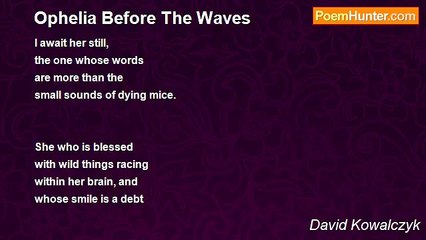 David Kowalczyk - Ophelia Before The Waves