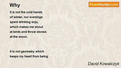 David Kowalczyk - Why