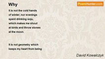 David Kowalczyk - Why