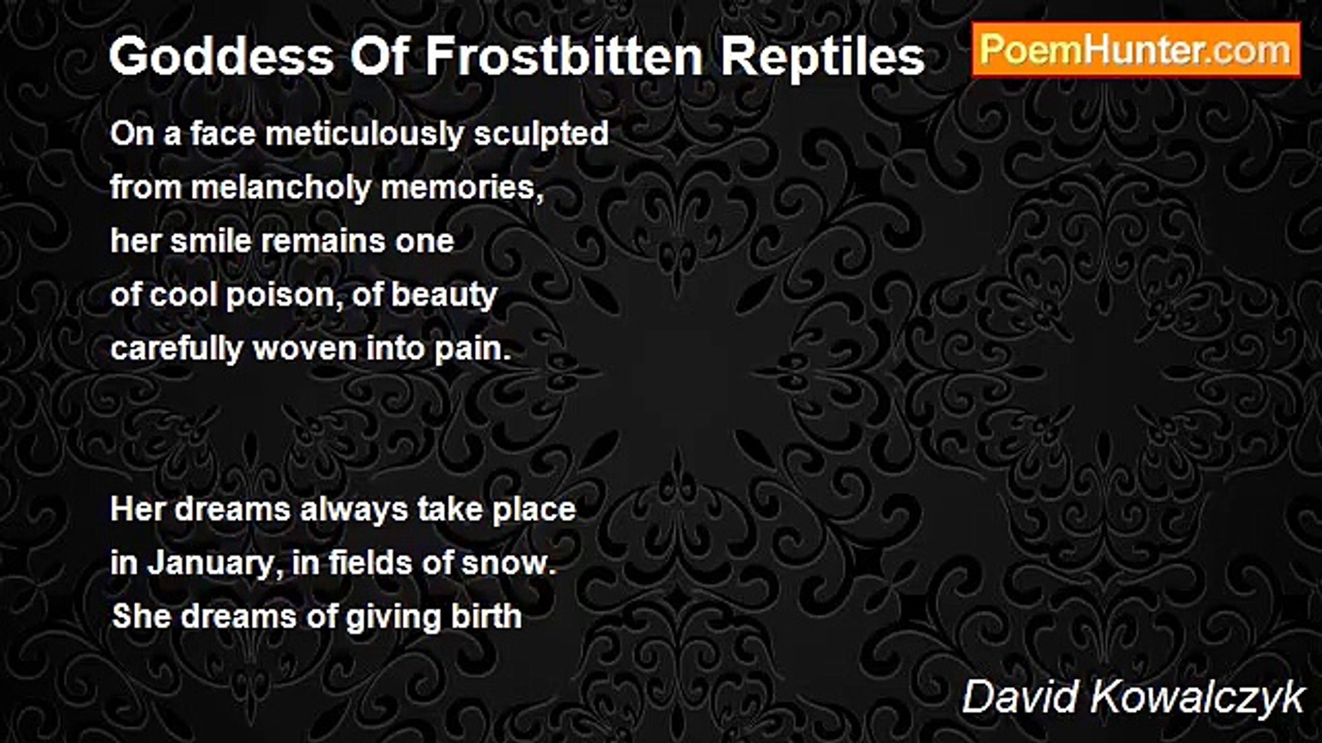 ⁣David Kowalczyk - Goddess Of Frostbitten Reptiles