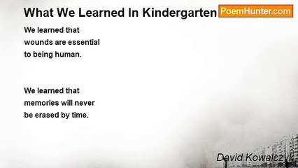 David Kowalczyk - What We Learned In Kindergarten