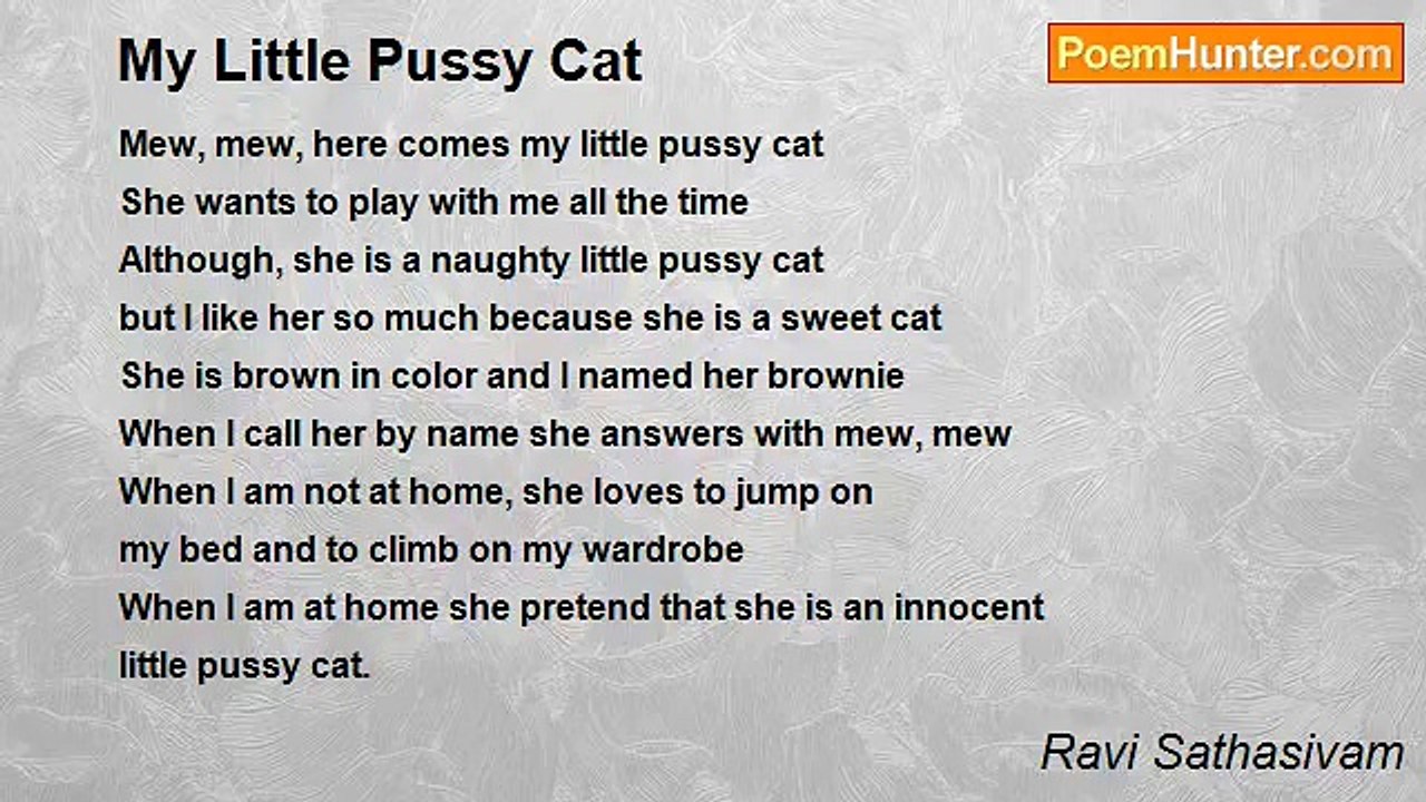 Ravi Sathasivam - My Little Pussy Cat