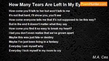 M.A. Ces - How Many Tears Are Left In My Eyes