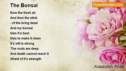 Asadullah Khan - The Bonsai