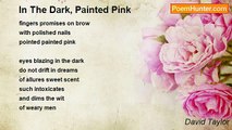 David Taylor - In The Dark, Painted Pink
