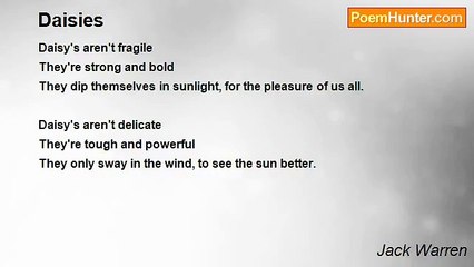 Jack Warren - Daisies