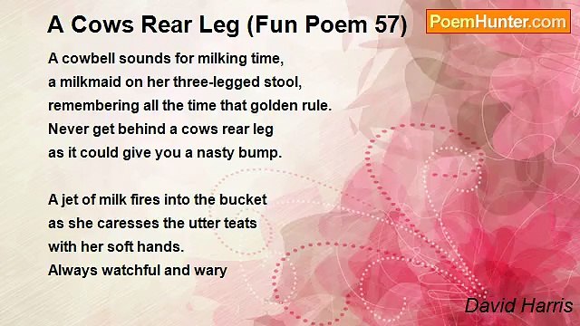 David Harris - A Cows Rear Leg (Fun Poem 57)