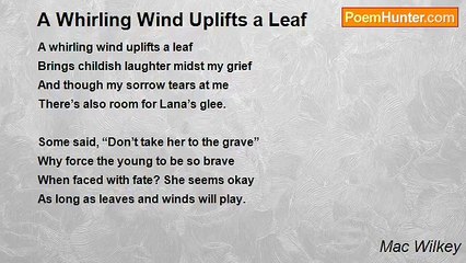 Mac Wilkey - A Whirling Wind Uplifts a Leaf