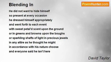 David Taylor - Blending In