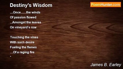James B. Earley - Destiny's Wisdom